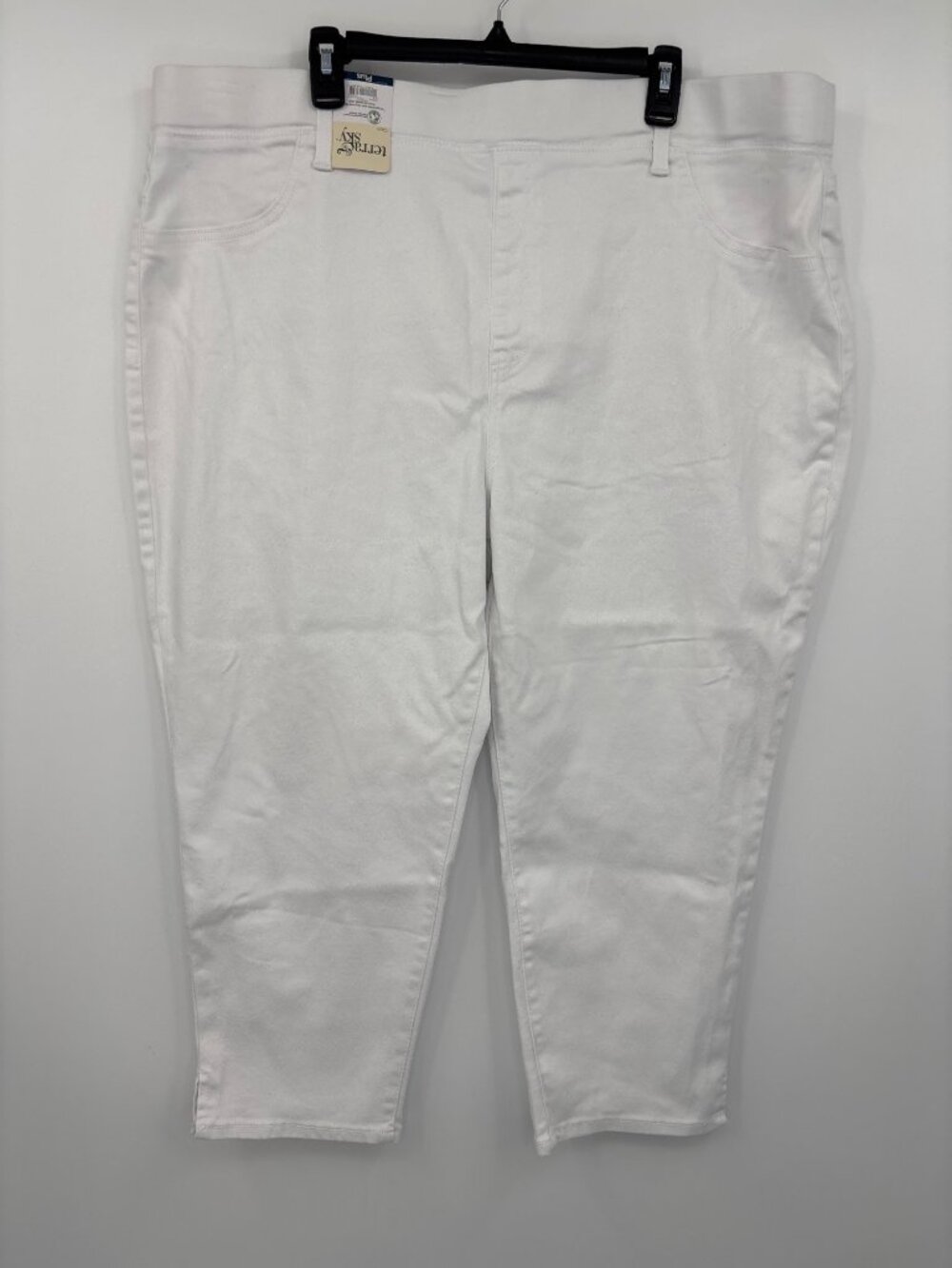 Terra & Sky Stretch Pull On Capri White Size 3X NEW